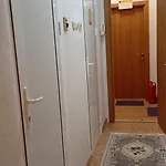 Steady - Guests