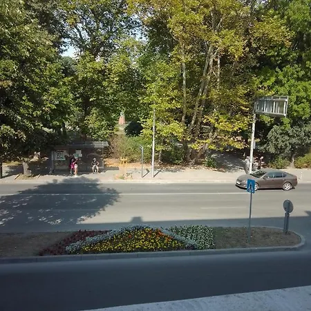 Steady - Guests Проживание в семье *