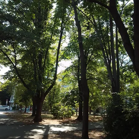 Gazde/Camere de închiriat Steady - Guests Varna