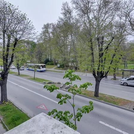 Steady - Guests Gazde/Camere de închiriat