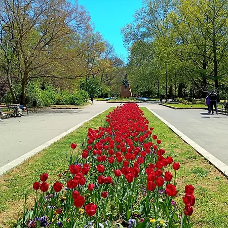 Gazde/Camere de închiriat Steady - Guests Varna