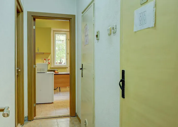 Steady - Guests Varna