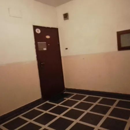 Homestay Steady - Guests