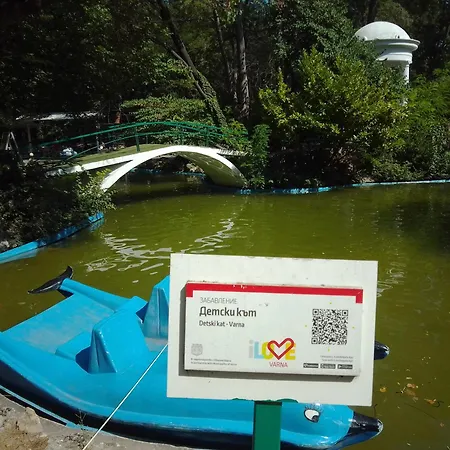 Steady - Guests * Warna