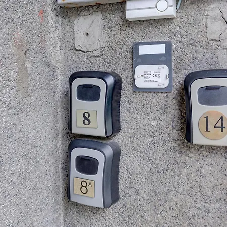 Steady - Guests Varna