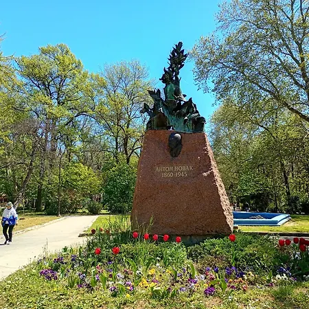 Steady - Guests Homestay *