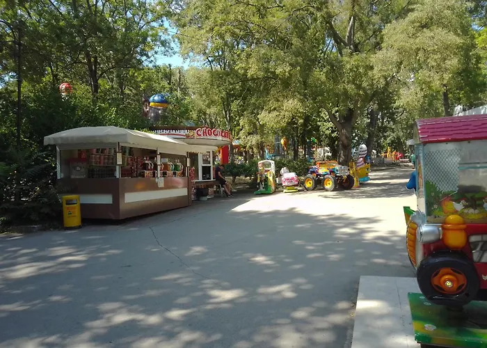 Steady - Guests Warna