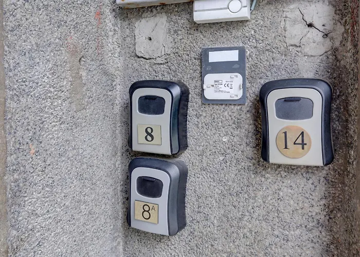 Steady - Guests Warna