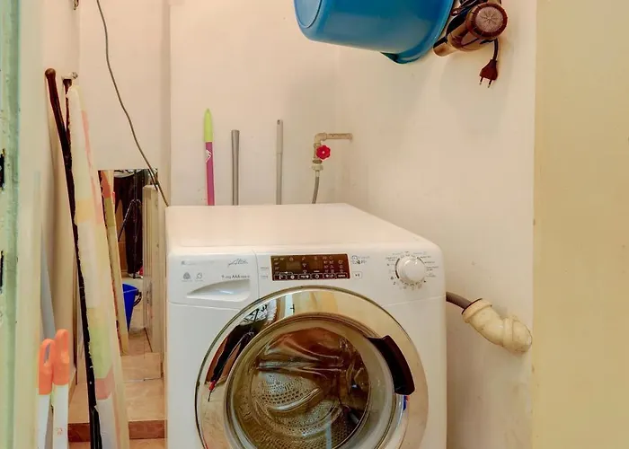 Steady - Guests * Warna