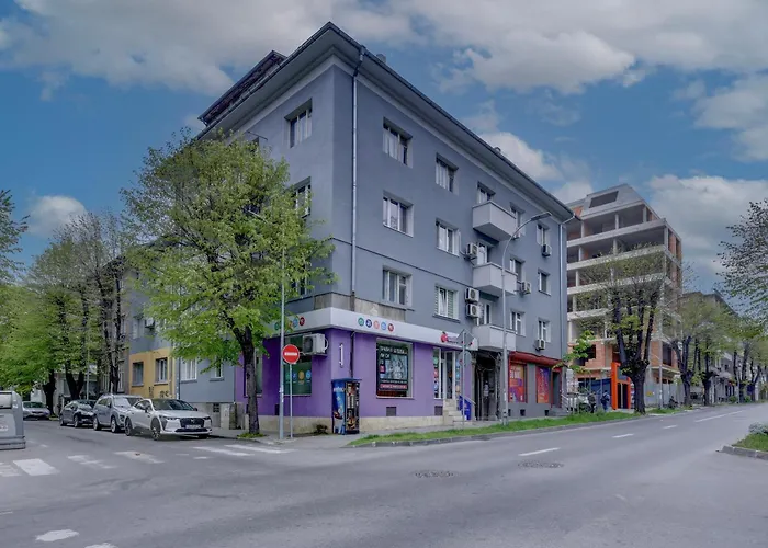 Steady - Guests Warna