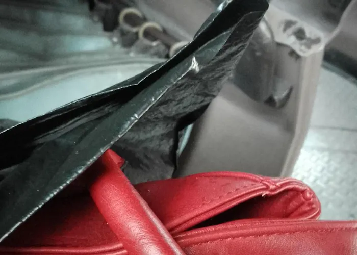 Steady - Guests * Warna